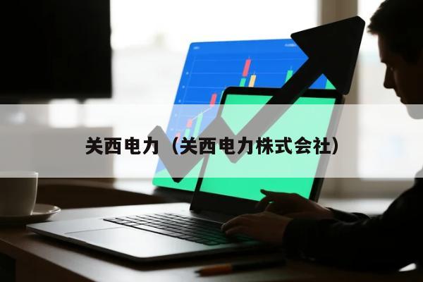 关西电力(关西电力株式会社)