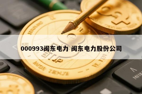 000993闽东电力 闽东电力股份公司
